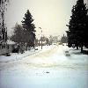 The Street in Winter